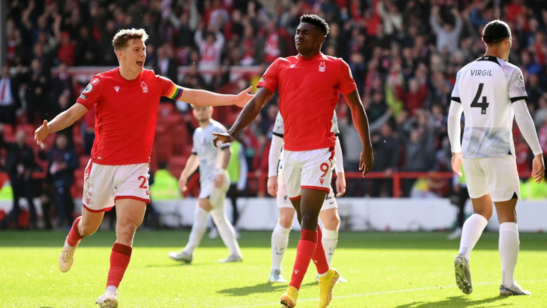 尽管猛龙拥 尽管猛龙拥